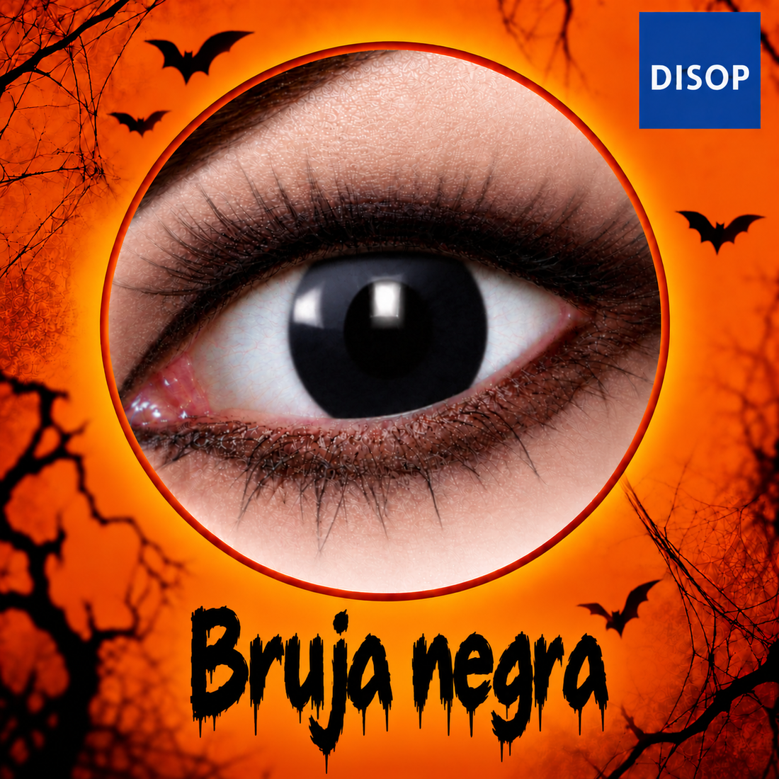 Lentillas Halloween Bruja Negra de DISOP